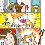 道端で見た犬とおじさんの闘い