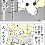 近所の犬がいるカフェで癒されようとした結果 1/2