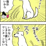 近所の犬がいるカフェで癒されようとした結果 2/2